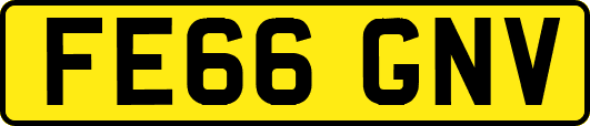 FE66GNV