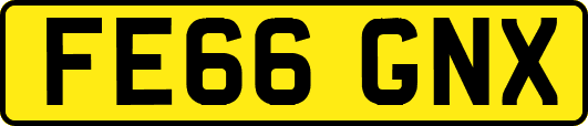 FE66GNX