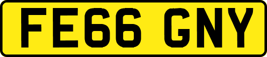 FE66GNY
