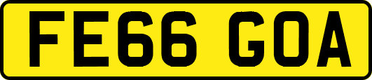 FE66GOA