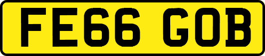 FE66GOB