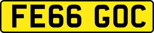 FE66GOC