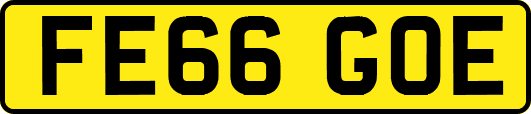 FE66GOE