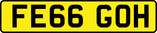 FE66GOH