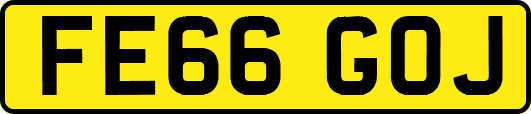 FE66GOJ