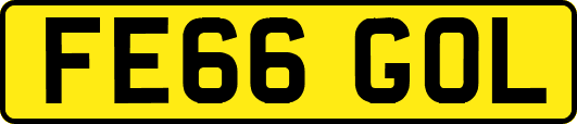FE66GOL