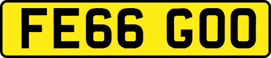 FE66GOO
