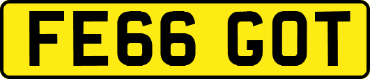 FE66GOT