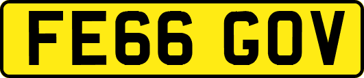 FE66GOV
