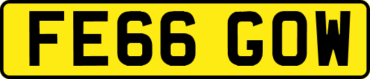 FE66GOW