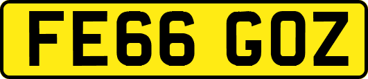 FE66GOZ