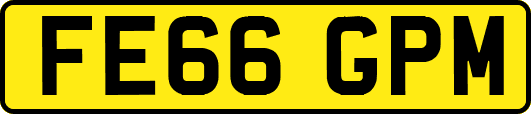 FE66GPM