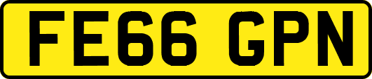 FE66GPN