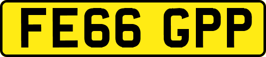 FE66GPP