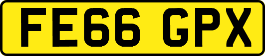 FE66GPX