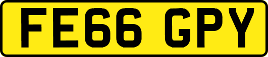 FE66GPY