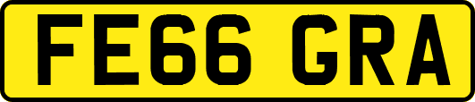FE66GRA