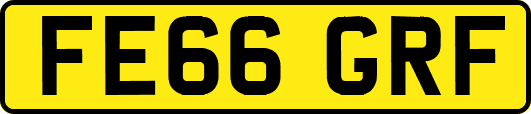 FE66GRF