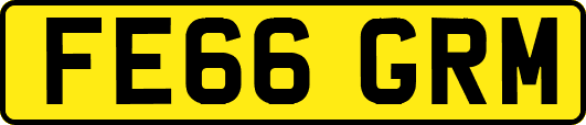 FE66GRM