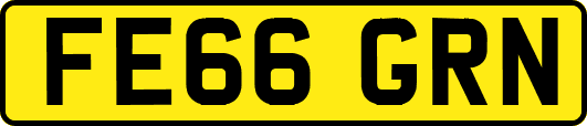 FE66GRN