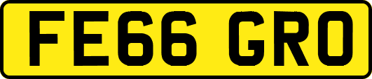 FE66GRO