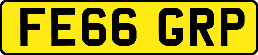 FE66GRP