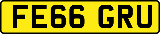 FE66GRU