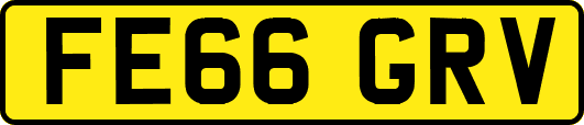 FE66GRV