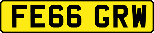 FE66GRW