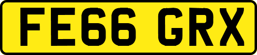 FE66GRX