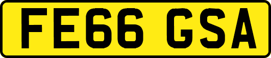 FE66GSA