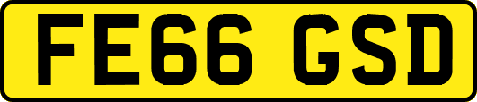 FE66GSD
