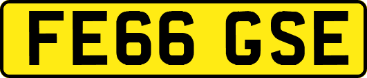 FE66GSE