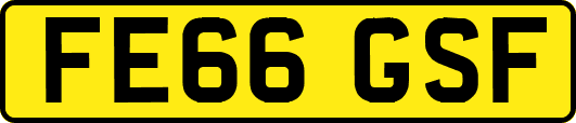 FE66GSF