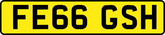FE66GSH