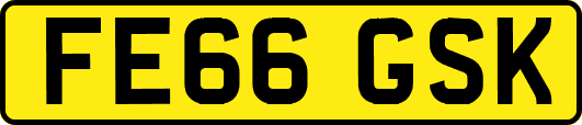 FE66GSK