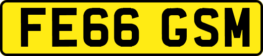 FE66GSM