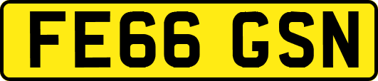 FE66GSN