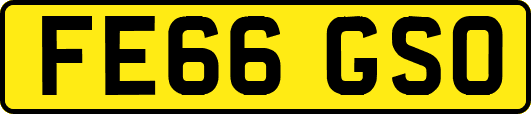 FE66GSO
