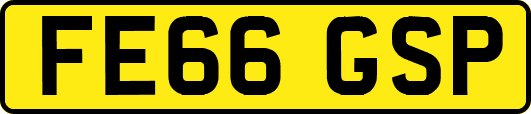 FE66GSP