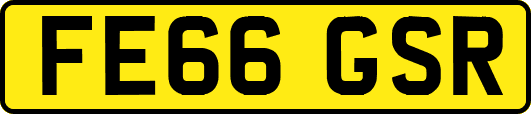 FE66GSR