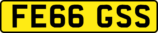 FE66GSS