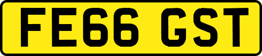 FE66GST