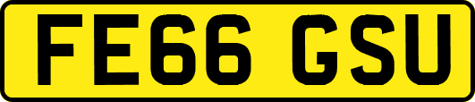 FE66GSU