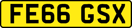FE66GSX