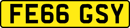 FE66GSY