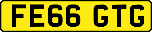 FE66GTG