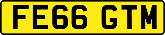 FE66GTM