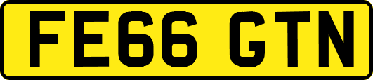 FE66GTN