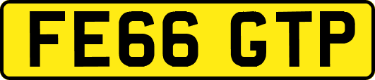FE66GTP